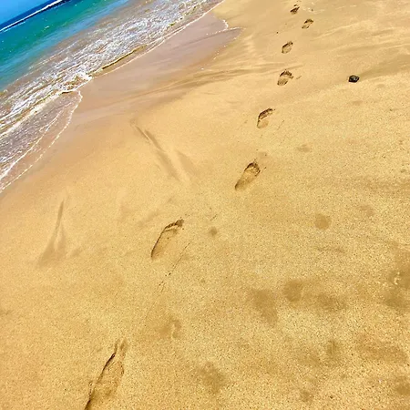 712 Bahia Sol
